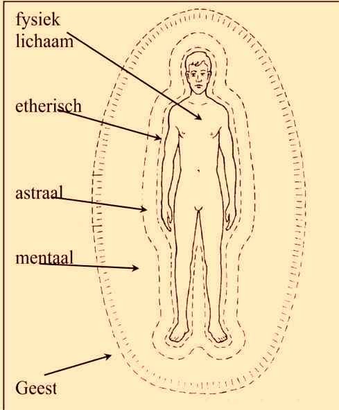 Microcosmos